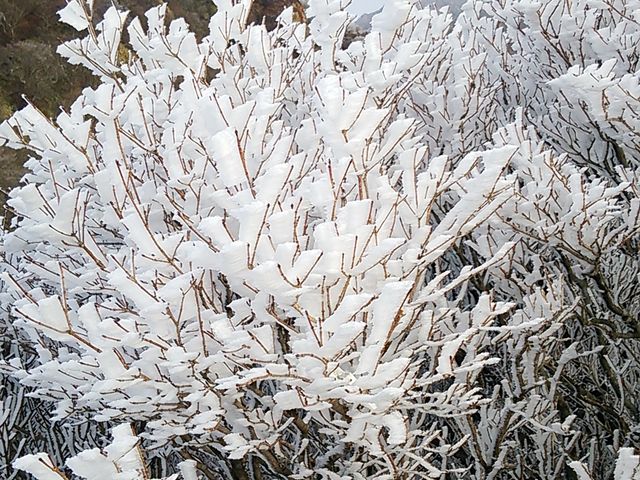 ���X�����ꂢ�ł���_�_�働�[�v�E�F�C