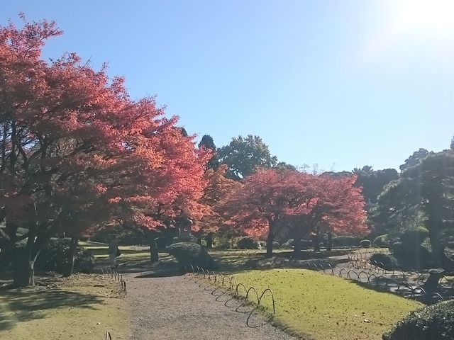 �g�t�S_�V�h�䉑