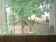 ]ˉƉL̋Y@wZ̐̓eʐ^3