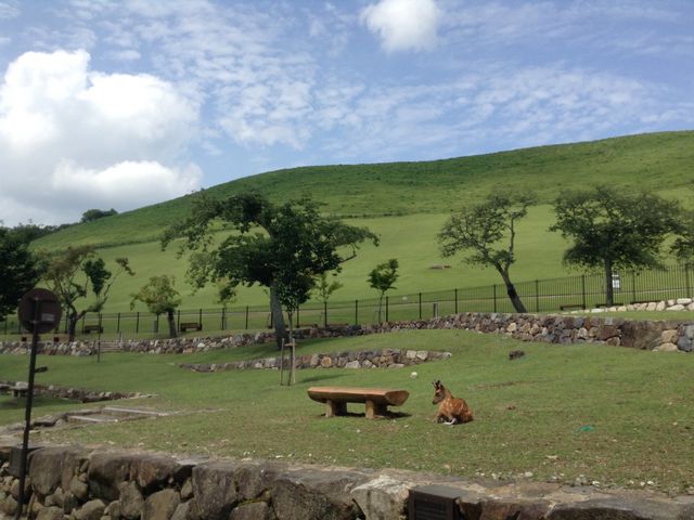 ᑐR

ޗǌޗǎst쒬_ᑐR