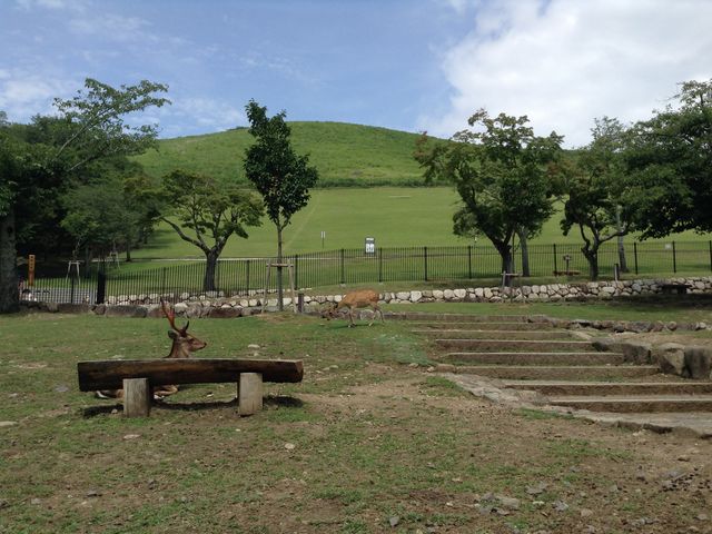 ᑐR

ޗǌޗǎst쒬_ᑐR