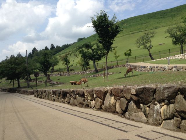 ᑐR

ޗǌޗǎst쒬_ᑐR