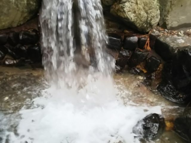 �S���₩��_�֑�_��