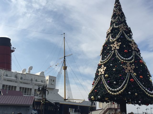 �f�B�Y�j�[�V�[_�����f�B�Y�j�[�V�[(R)