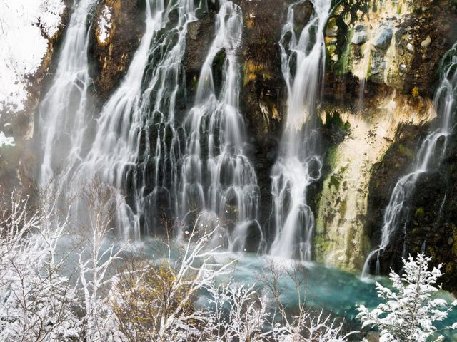 ��̒��ɑ�̐���������l�q_���Ђ��̑�