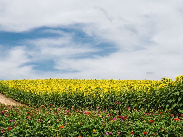 �l�G�ʂ̋u_�l�G�ʂ̋u