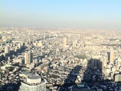 honeyteãTVC60W] Ăڂp[Nւ̓eʐ^1