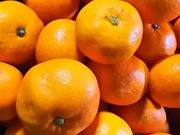 alicȅRsόē̓eʐ^1