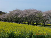 ɂႤ˂̐sÕQ̓eʐ^1