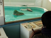 ǂ񂳂̋ՕCm(C̉Ȋw)̓eʐ^2