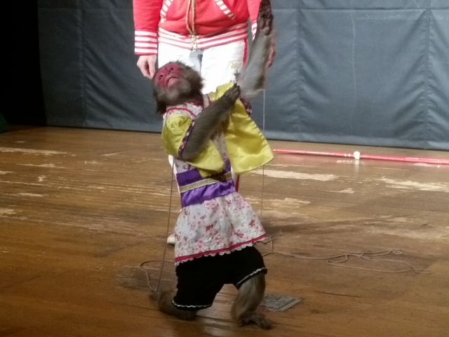 rVbIƃ|[Y߂ĎBeɂĂ܂`_ߐ{[hL[p[N