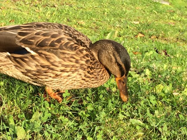 �S�R�����Ȃ��J���B�B_��������