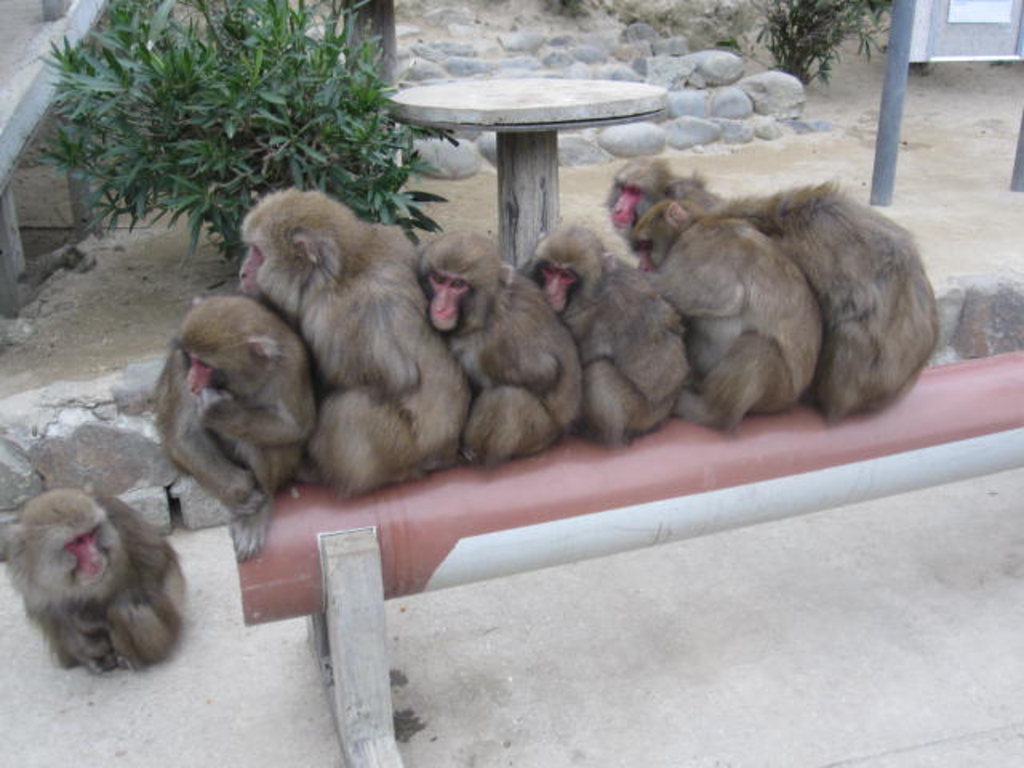 淡路島の動物園 植物園ランキングtop10 じゃらんnet