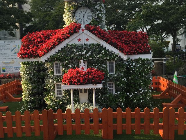 �D�y�s���v��