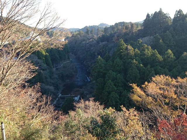 �����̑�_�{�V�k�J