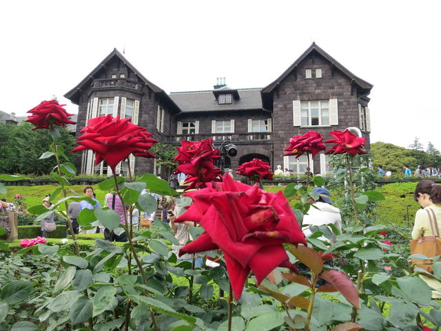 mio様向けー300 油絵/花/薔薇/バラ/旧古河庭園場/F4号 mio様向けー300 油絵/花/薔薇/バラ/旧古河庭園場/F4号 旧