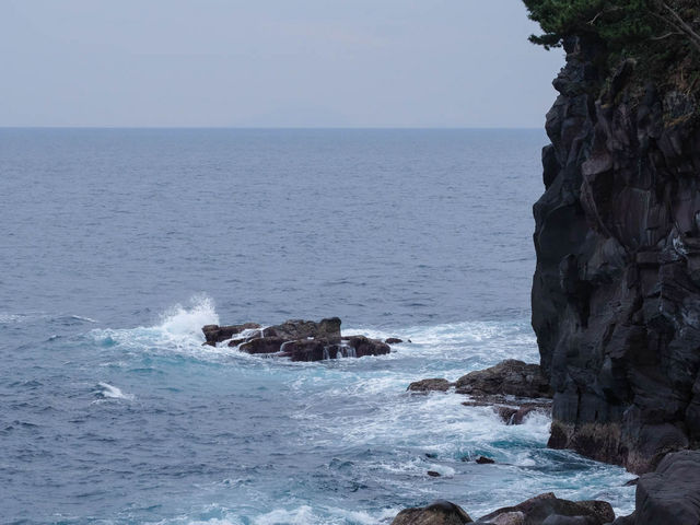 �^�b�N����̘@�����̓��e�ʐ^5