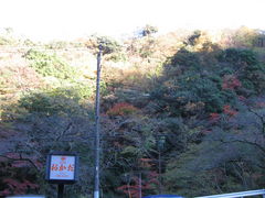 񂿂񂳂̃ze@ւ̓eʐ^1