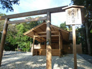 悿񂳂̌錩{̓eʐ^1