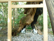 悿񂳂̌錩{̓eʐ^3