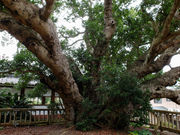 �^�b�N����̘@�����̓��e�ʐ^2