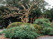 �^�b�N����̘@�����̓��e�ʐ^3