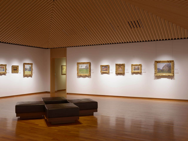 �W����_�㌴���p��