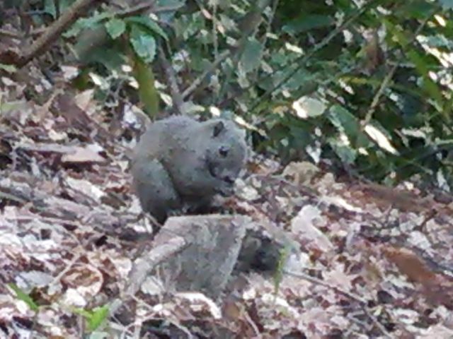 ���X�B_�~�o��