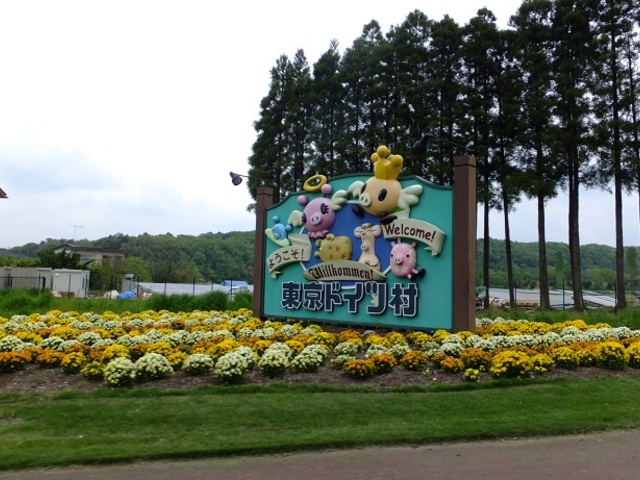 �����h�C�c������_�����h�C�c��