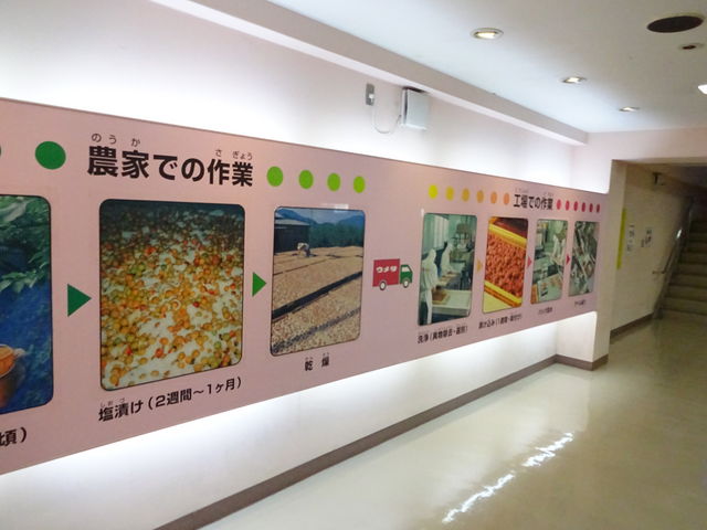 ���J�ɉ������Ă܂�_�w��ŁA����āA���킦��I�I�B�~����