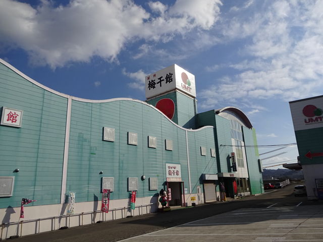 �傫�Ȍ����Ȃ̂ł����킩��܂��B_�w��ŁA����āA���킦��I�I�B�~����