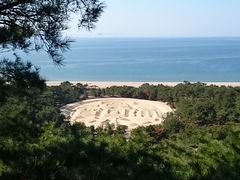 ɂႲ̂B̑K`Guiʕvւ̓eʐ^1