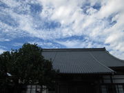 X̃N}̐@iVnsj̓eʐ^1