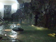 ΂Ȃ䂫䂫̐쎡̓eʐ^3