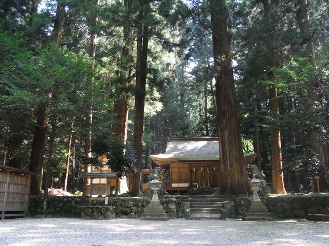 �{�{_�����_��