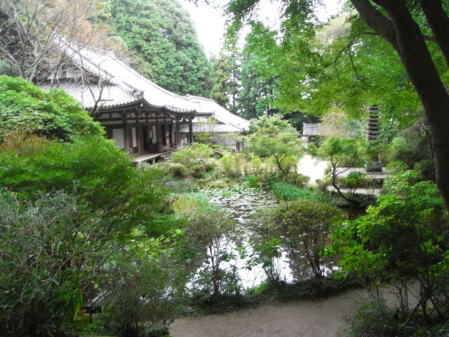 �뉀�[���_��D��