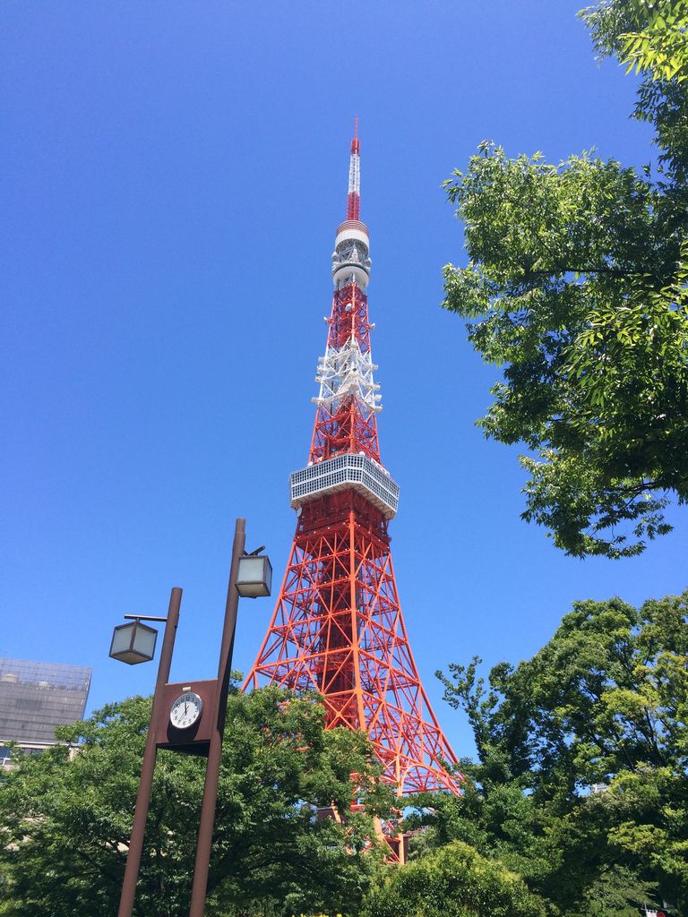東京都内 ひとり旅におすすめの観光スポット選 定番タワーや美術館 動物園も じゃらんニュース