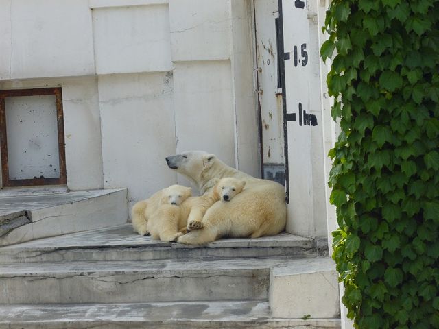 �~�R������_�~�R������