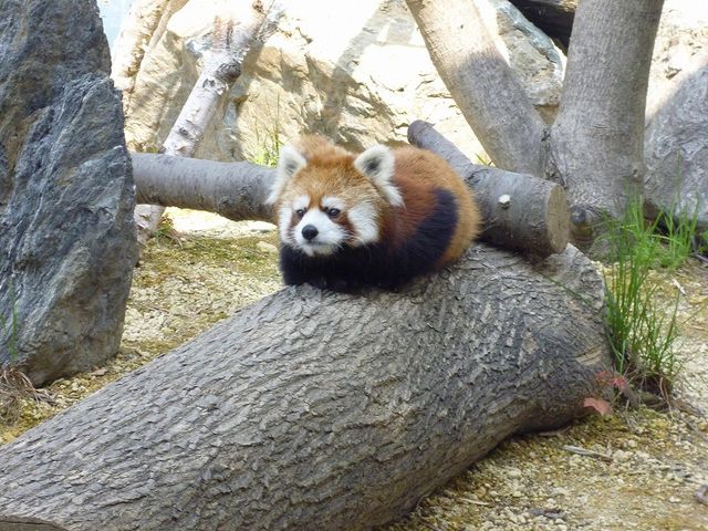 �~�R������_�~�R������