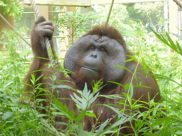 �~�R������_�~�R������