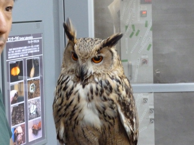 �~�R������_�~�R������