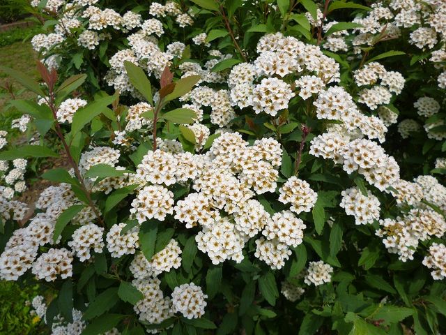 �~�R������_�~�R������