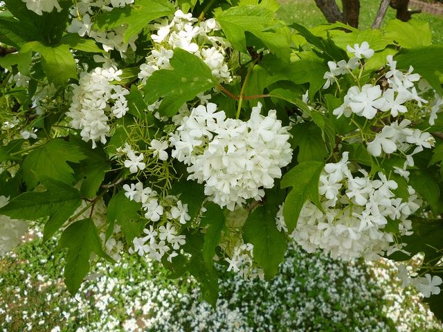 �~�R������_�~�R������