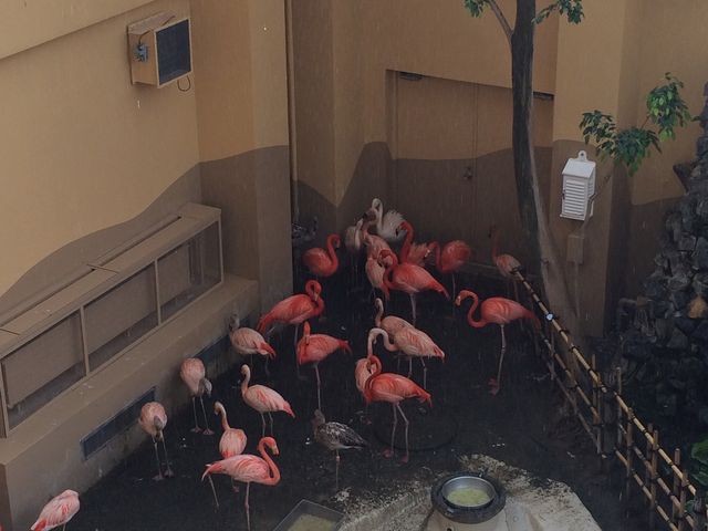 2015�N4�� �t���~���S�̐F�ɂ͌�������܂����B_�~�R������