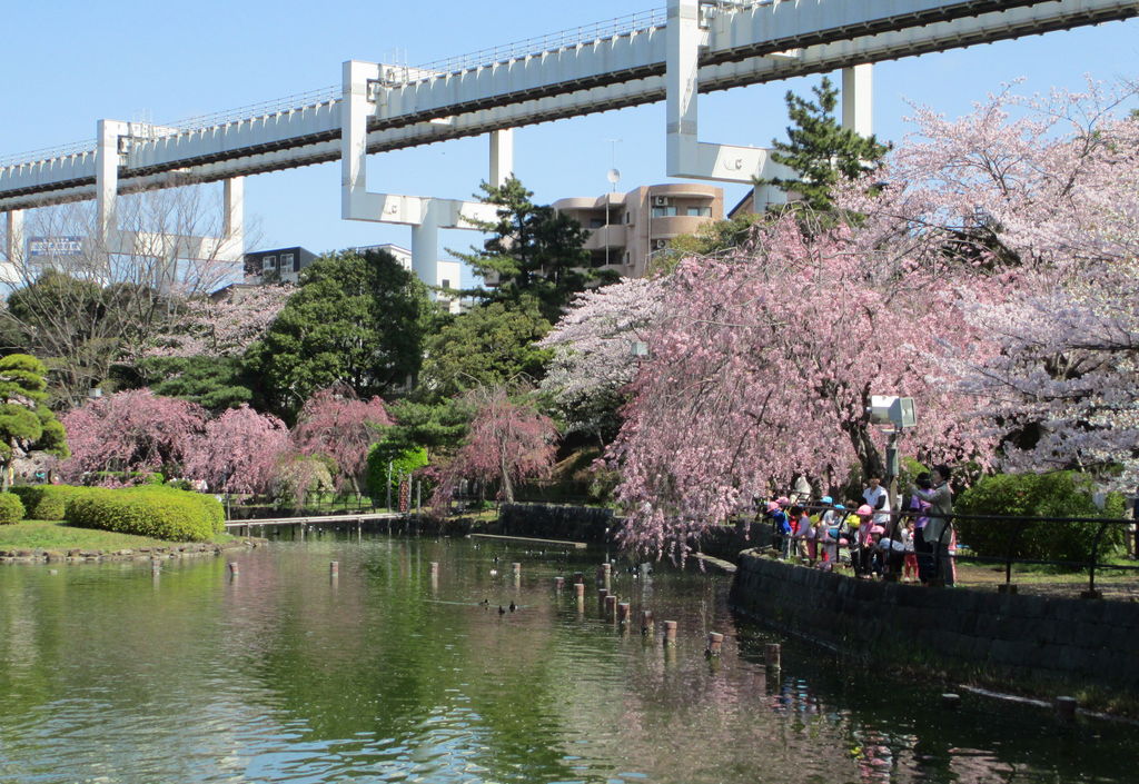 千葉 お花見に行こう 人気の桜の名所を集めました じゃらんニュース