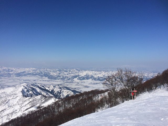 �R������_�Z�������C�R�X�L�[��