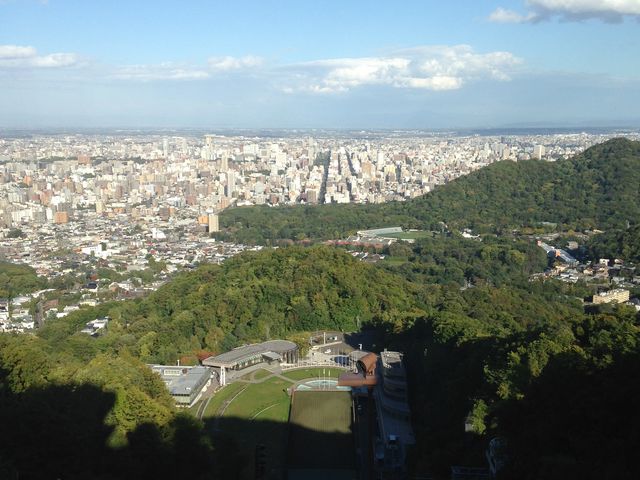 �V�C���ǂ��Ē��ߍō��I_��q�R�W�����v���Z��