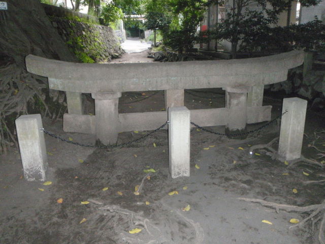 ���v����_���_���v����