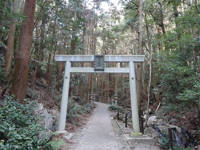 �Q���̒���_�V�̊��