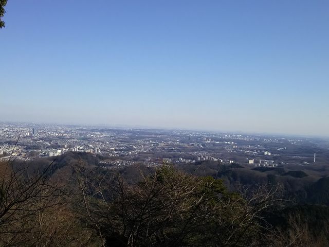 �R�����_�����R�P�[�u���J�[�E��l���ό����t�g